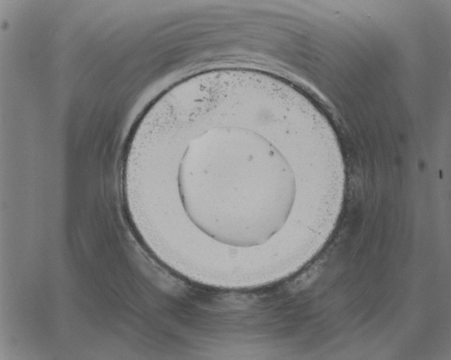 X0000065251514200603031750