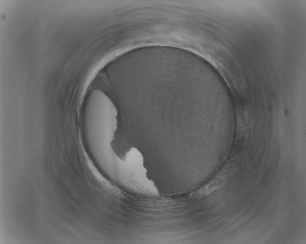 X0000065251515200603031750