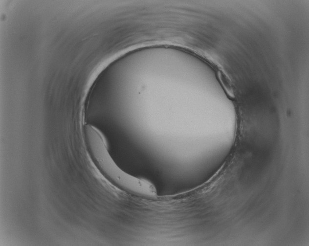 X0000065251516200603031751