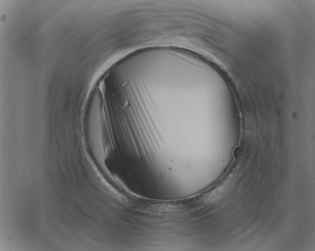 X0000065251517200603031751