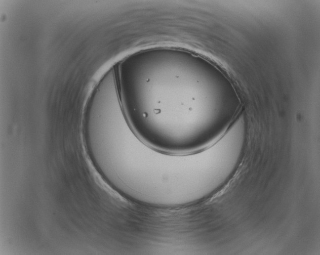 X0000065251518200603031751