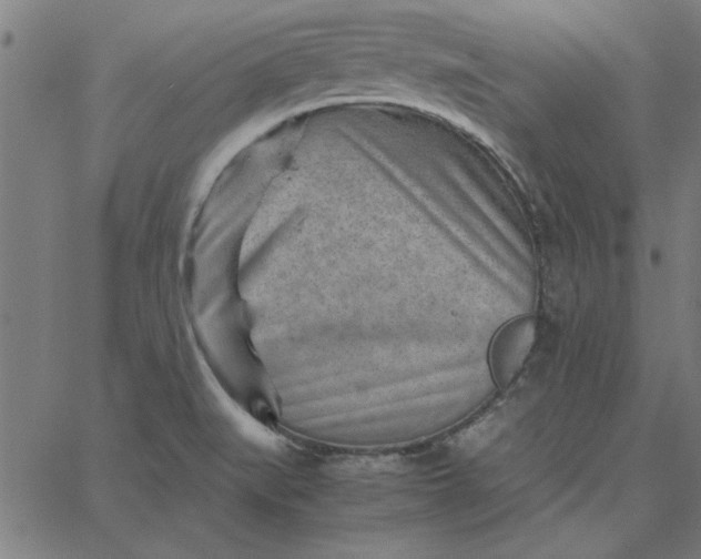 X0000065251519200603031751