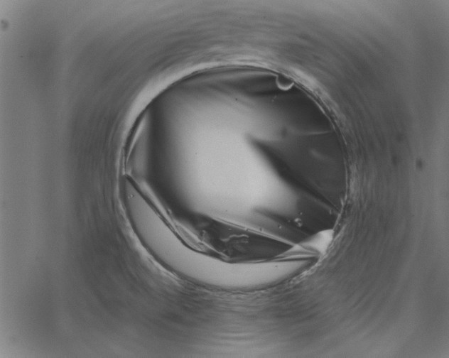 X0000065251520200603031751