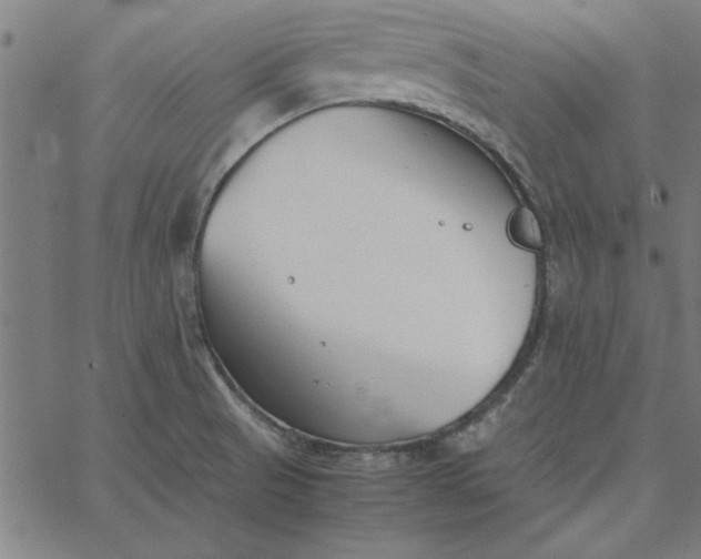 X0000065251521200603031751