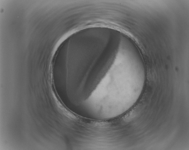 X0000065251522200603031751