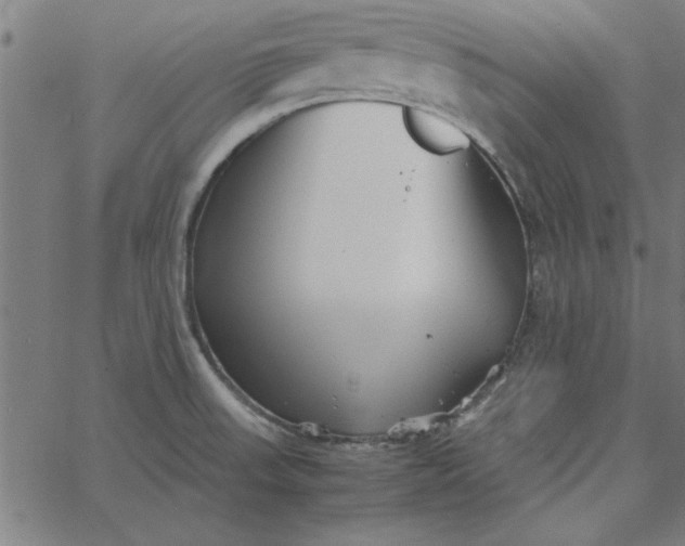 X0000065251523200603031751