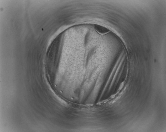 X0000065251525200603031751