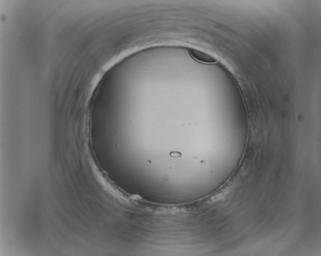 X0000065251526200603031751