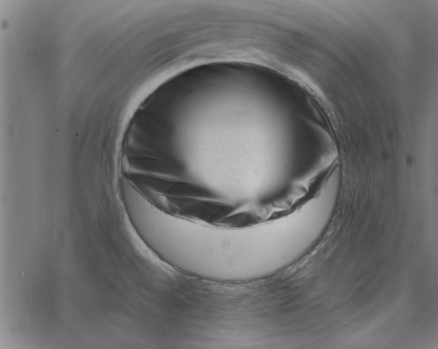 X0000065251528200603031751