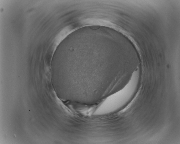 X0000065251529200603031751