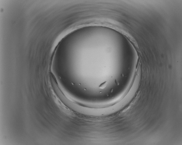 X0000065251530200603031751