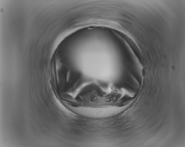 X0000065251531200603031751