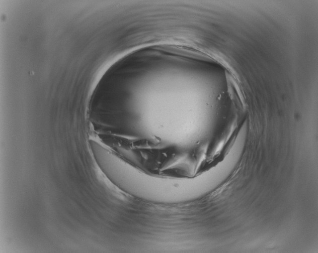 X0000065251532200603031751