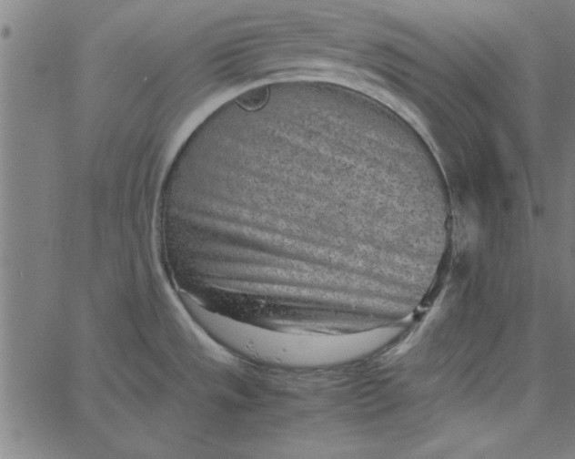 X0000065251533200603031751