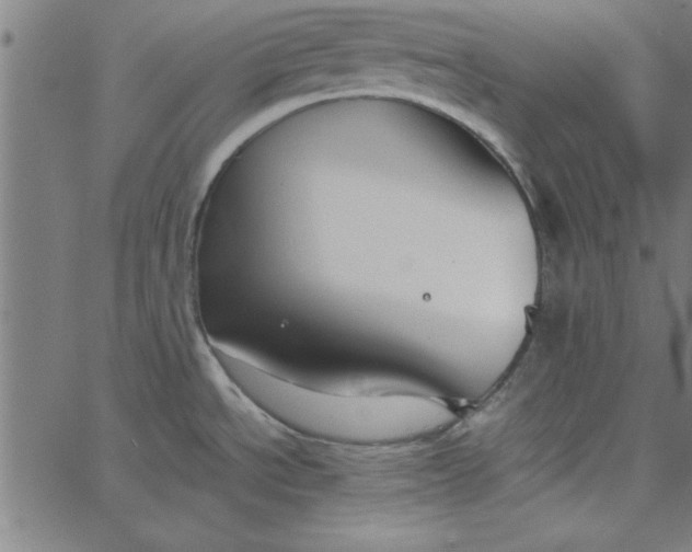 X0000065251534200603031751