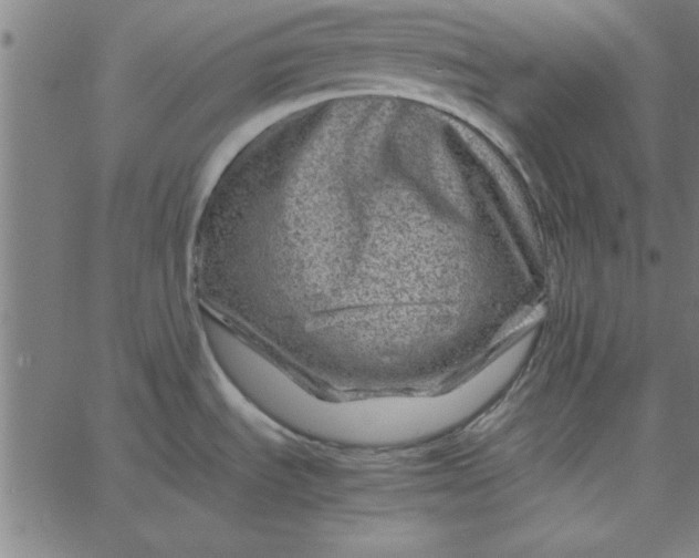 X0000065251535200603031751