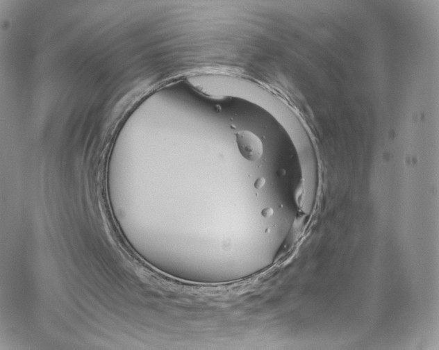 X0000065250001200603131139