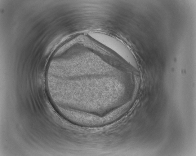 X0000065250002200603131139