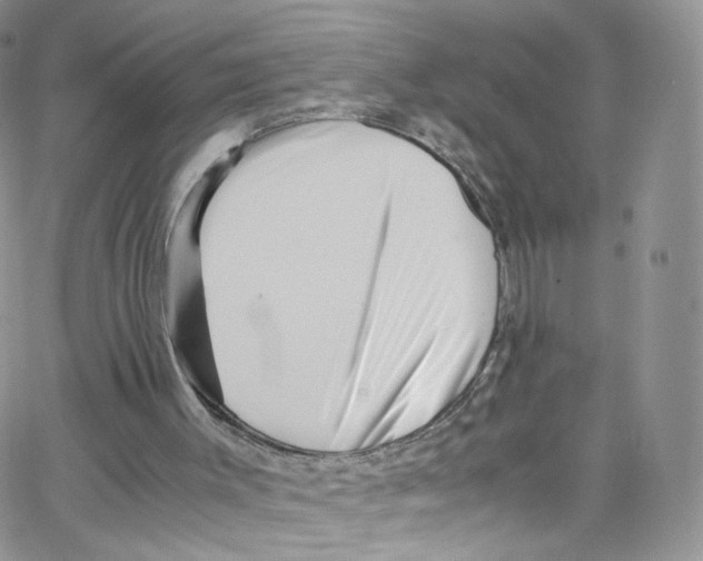 X0000065250003200603131139