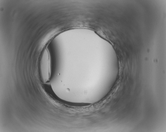 X0000065250005200603131139