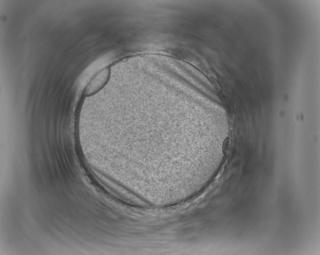 X0000065250006200603131139