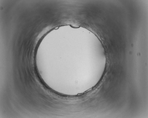 X0000065250008200603131139