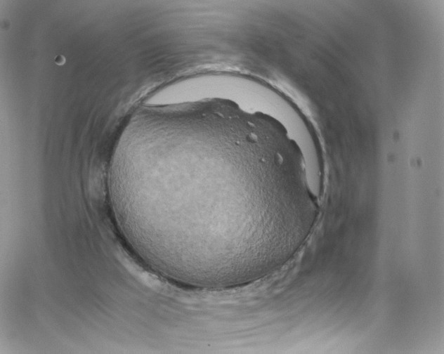 X0000065250009200603131139