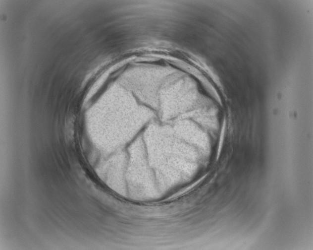 X0000065250010200603131139