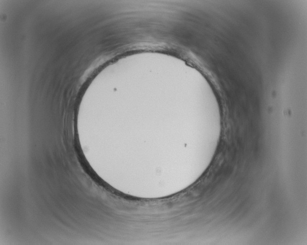 X0000065250011200603131139