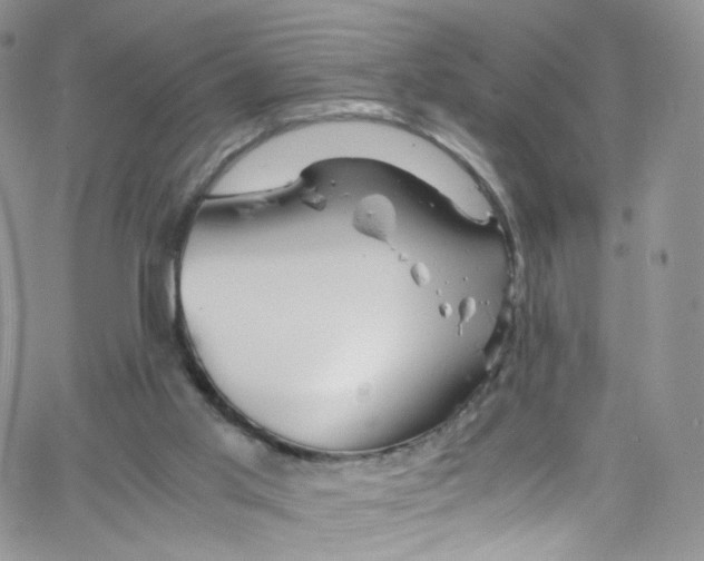 X0000065250013200603131139