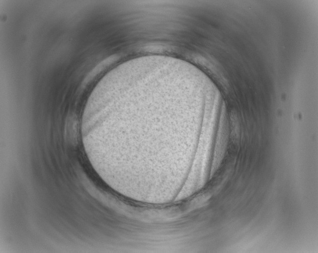 X0000065250016200603131139