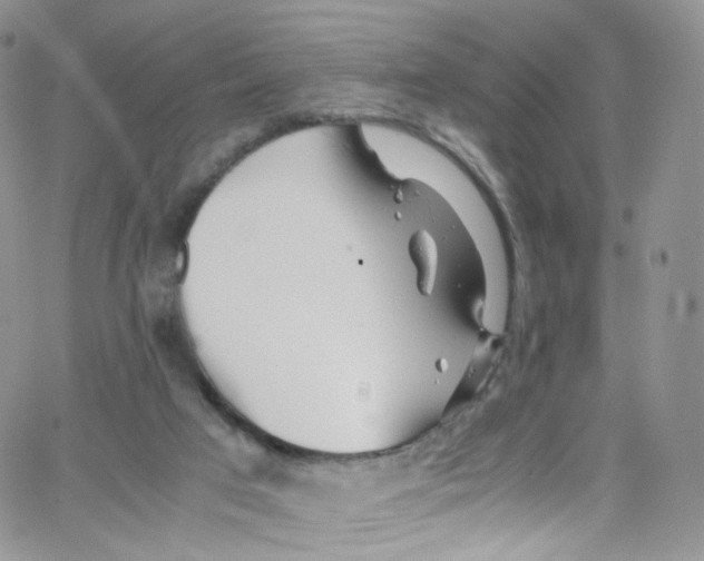 X0000065250017200603131139