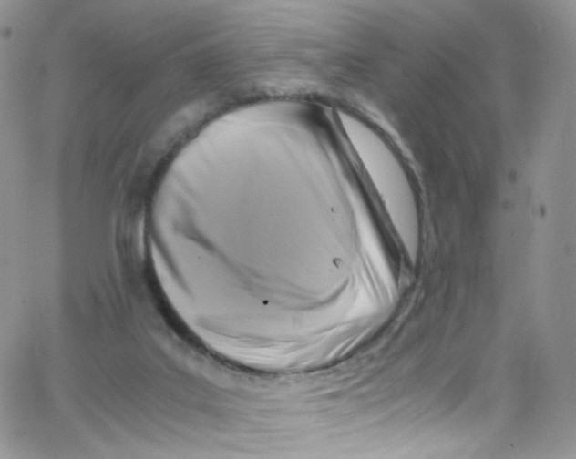 X0000065250019200603131139