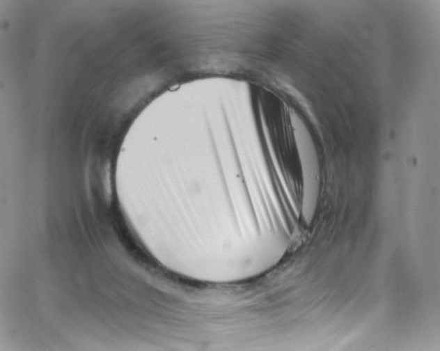 X0000065250020200603131139