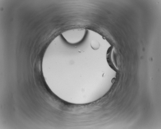 X0000065250021200603131139