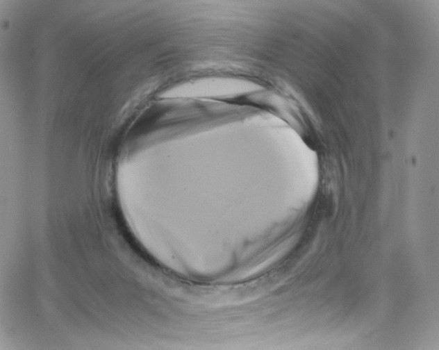 X0000065250023200603131139