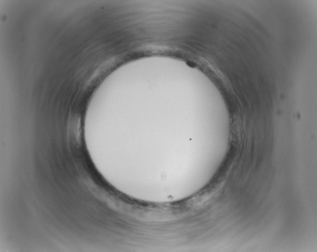 X0000065250024200603131139