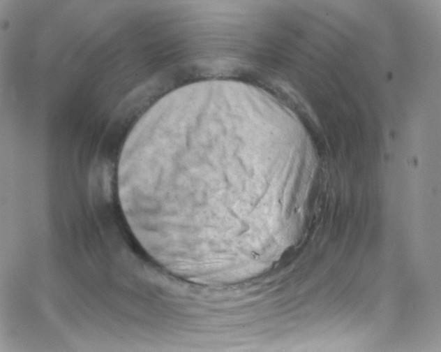 X0000065250026200603131139