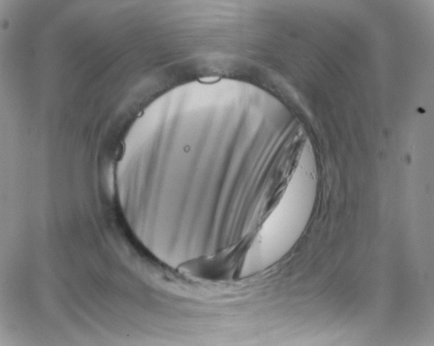 X0000065250027200603131139