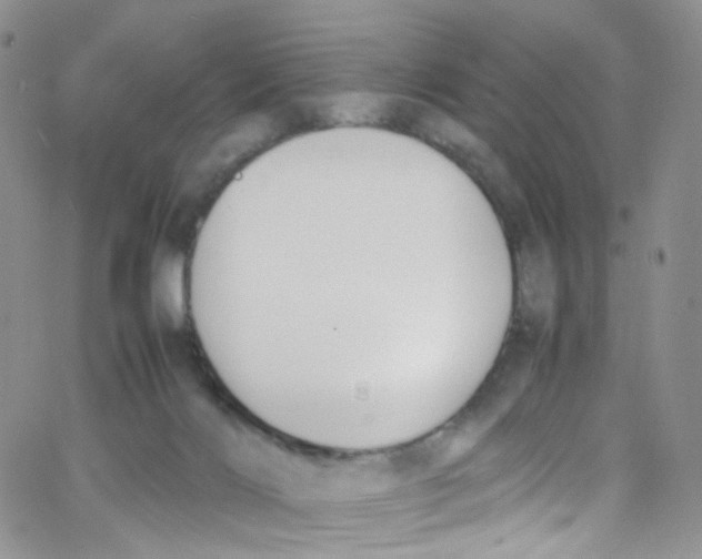 X0000065250028200603131139