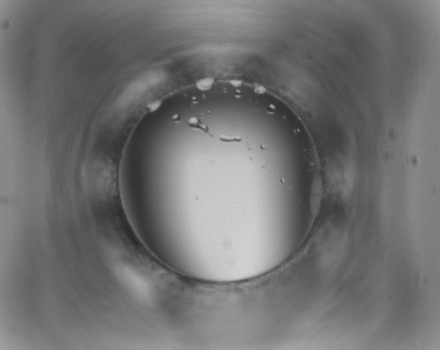 X0000065250029200603131139