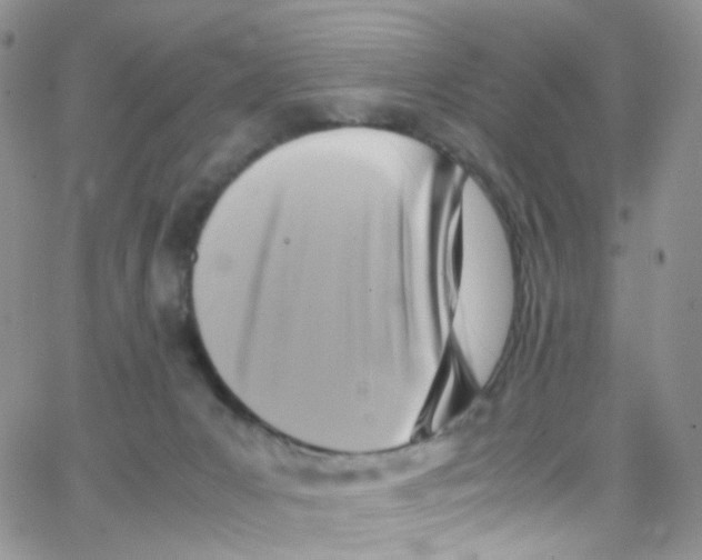 X0000065250031200603131139