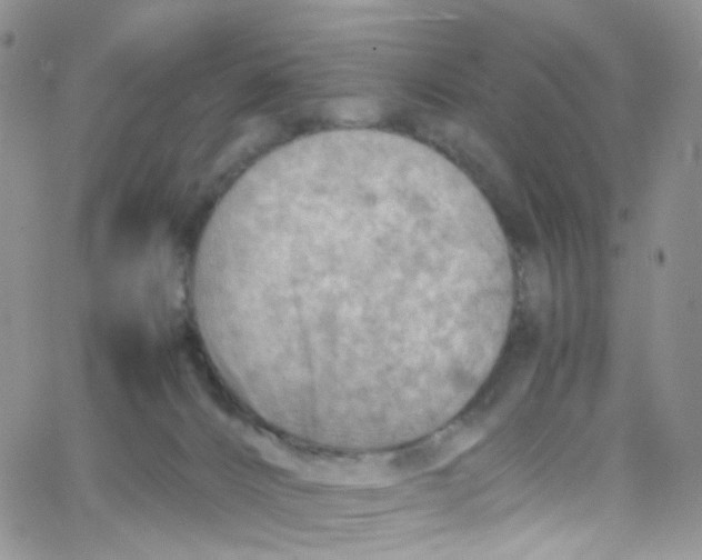 X0000065250032200603131139