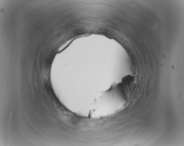 X0000065250033200603131139