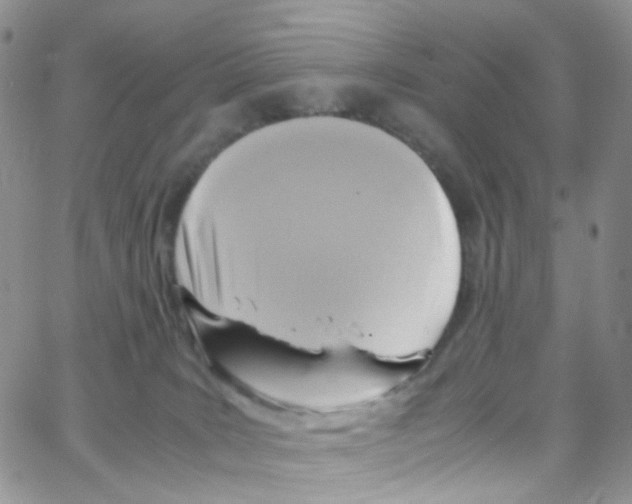 X0000065250035200603131139