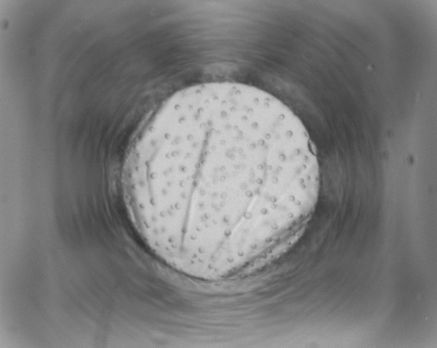 X0000065250038200603131139