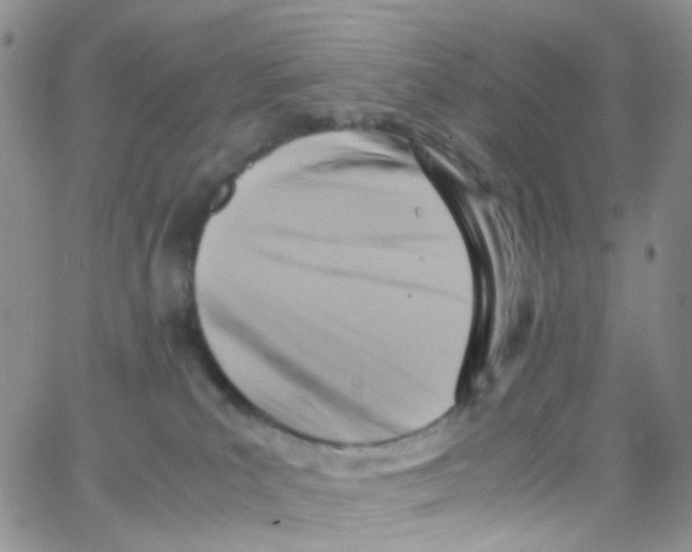 X0000065250039200603131139