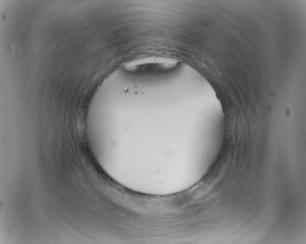 X0000065250040200603131139