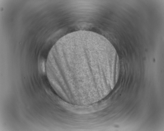 X0000065250042200603131139