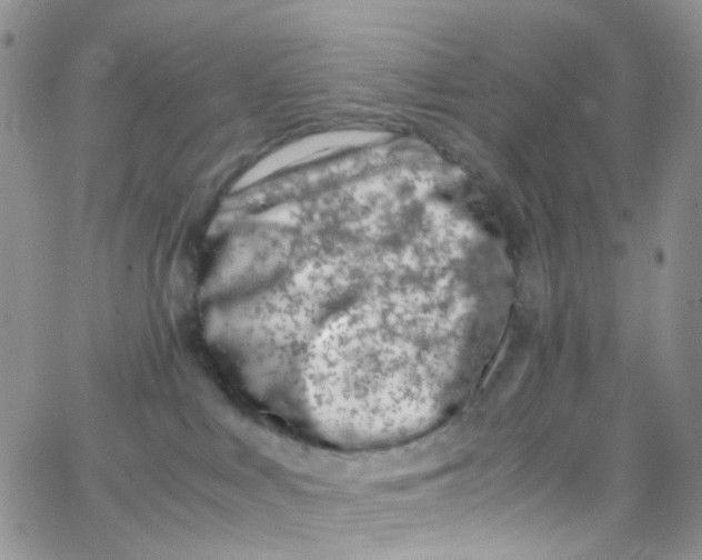 X0000065250043200603131139